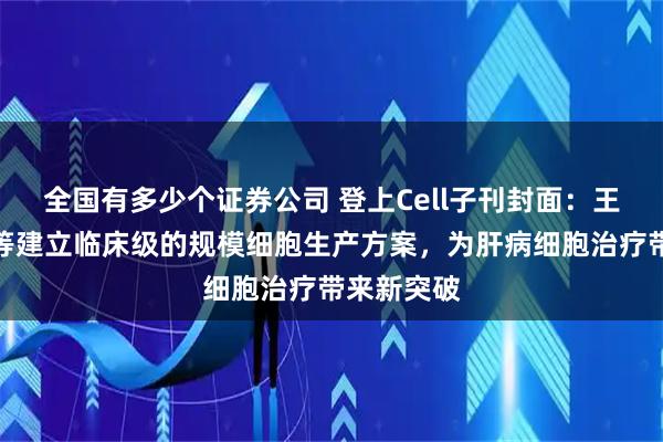 全国有多少个证券公司 登上Cell子刊封面：王敏君团队等建立临床级的规模细胞生产方案，为肝病细胞治疗带来新突破