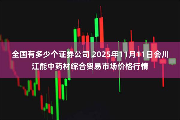 全国有多少个证券公司 2025年11月11日会川江能中药材综合贸易市场价格行情