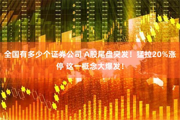 全国有多少个证券公司 A股尾盘突发！猛拉20%涨停 这一概念大爆发！